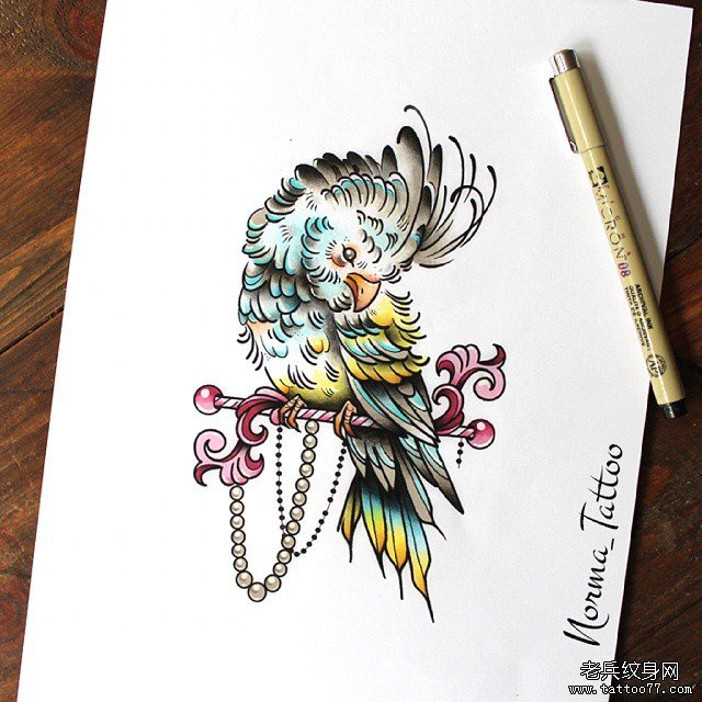 欧美school彩色鹦鹉纹身图案手稿