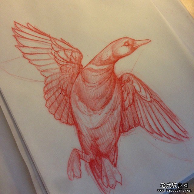 欧美school野鸭子纹身图案手稿
