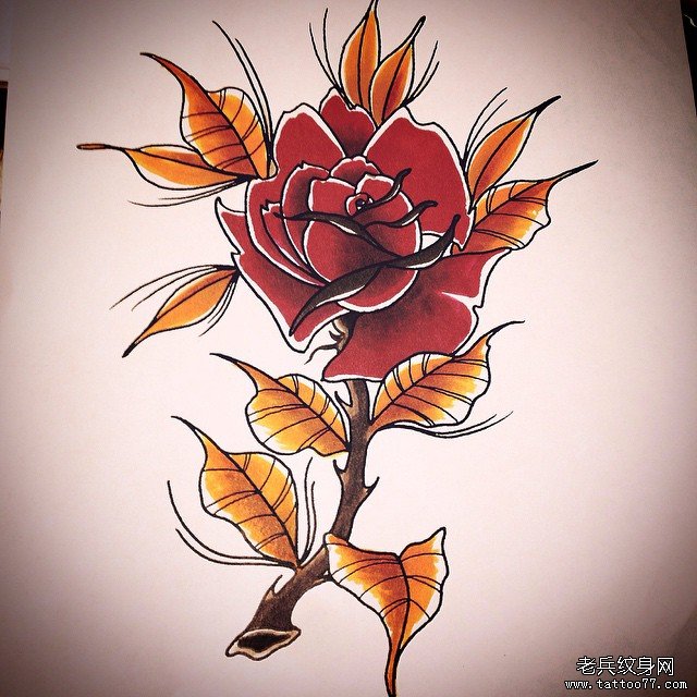 欧美school玫瑰彩色纹身图案手稿