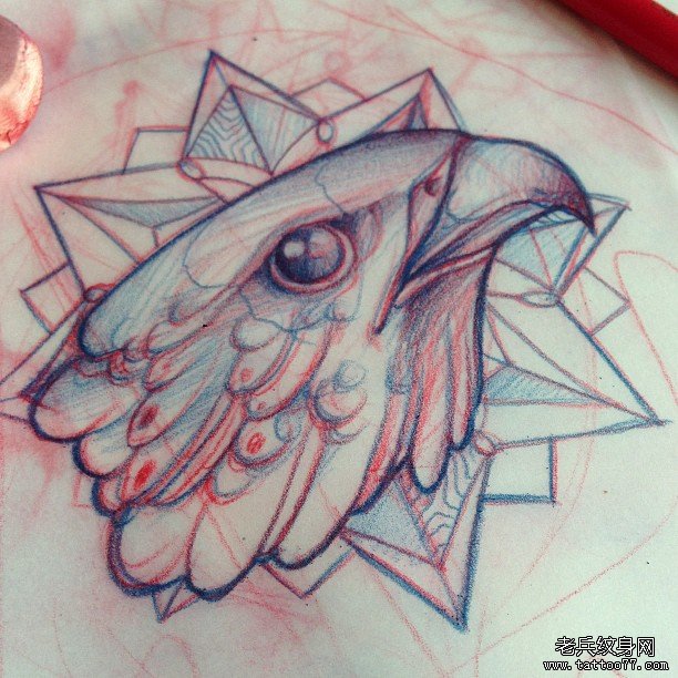 欧美school老鹰头纹身图案手稿