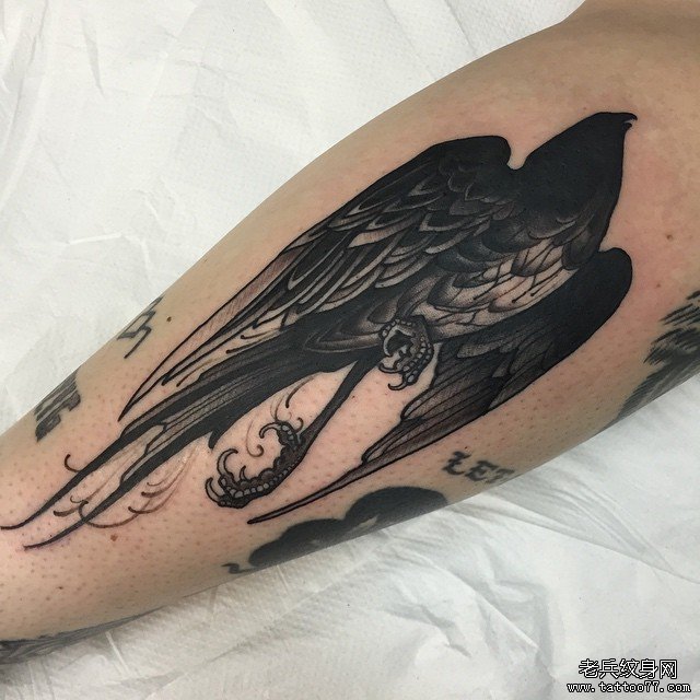 小腿欧美黑色乌鸦纹身图案