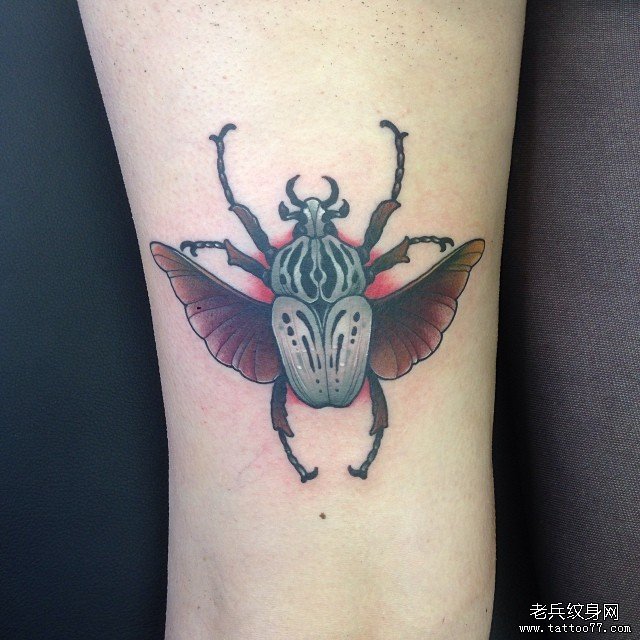 大腿欧美昆虫彩绘纹身图案