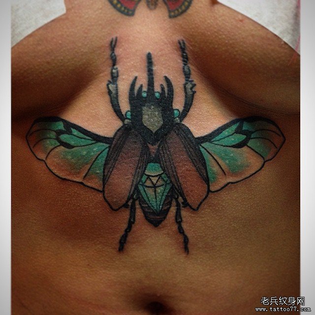 胸部昆虫欧美性感纹身图案