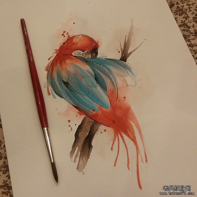 欧美泼墨小清新鹦鹉纹身图案手稿