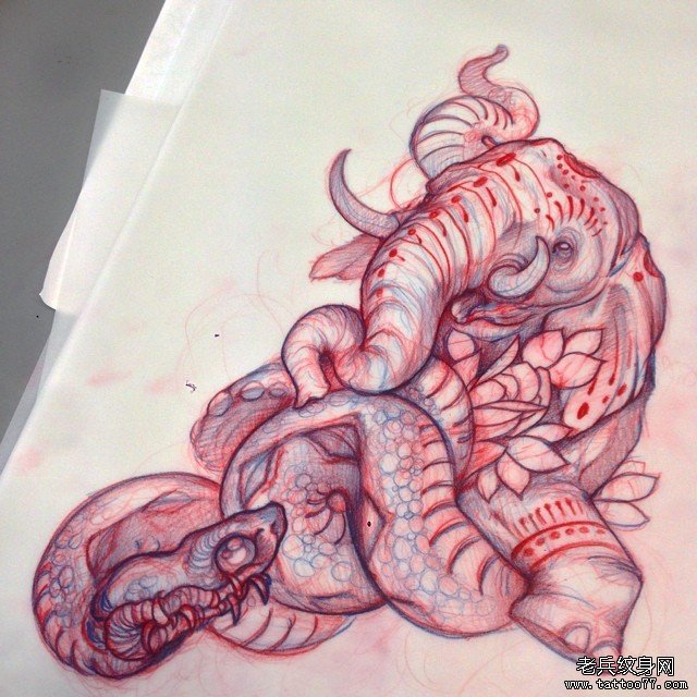 欧美蛇大象个性纹身图案手稿