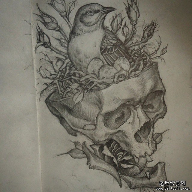 欧美鸟巢骷髅植物纹身图案手稿