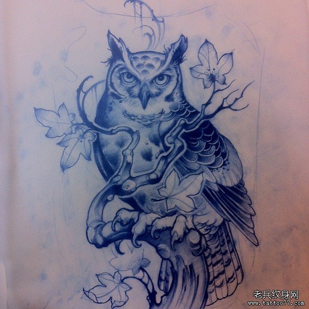 欧美猫头鹰树枝纹身图案手稿