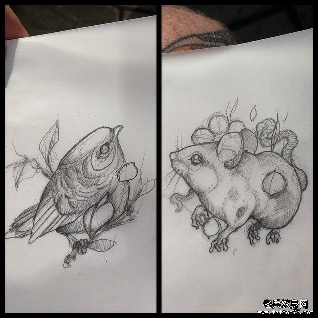 school鸟老鼠纹身图案手稿