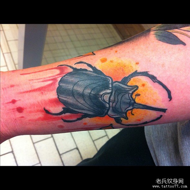 小臂甲虫欧美泼墨纹身图案