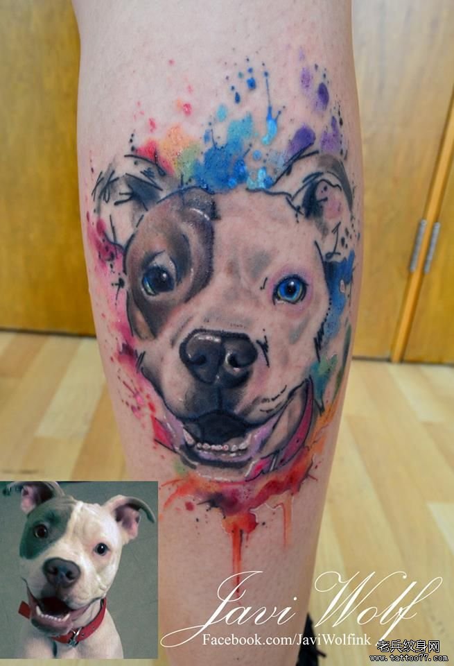 小腿狗彩色泼墨纹身图案