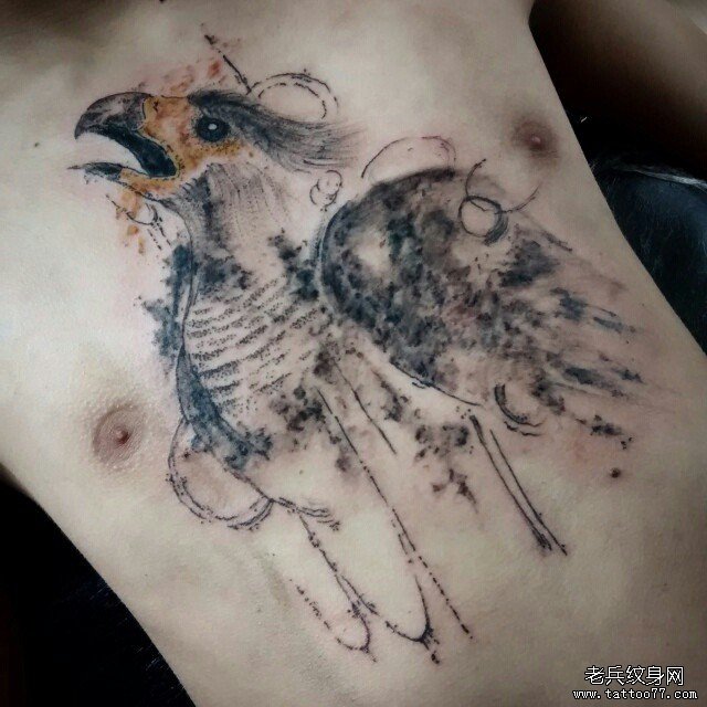 胸部老鹰欧美纹身图案