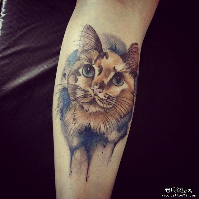 小臂泼墨猫彩色纹身图案