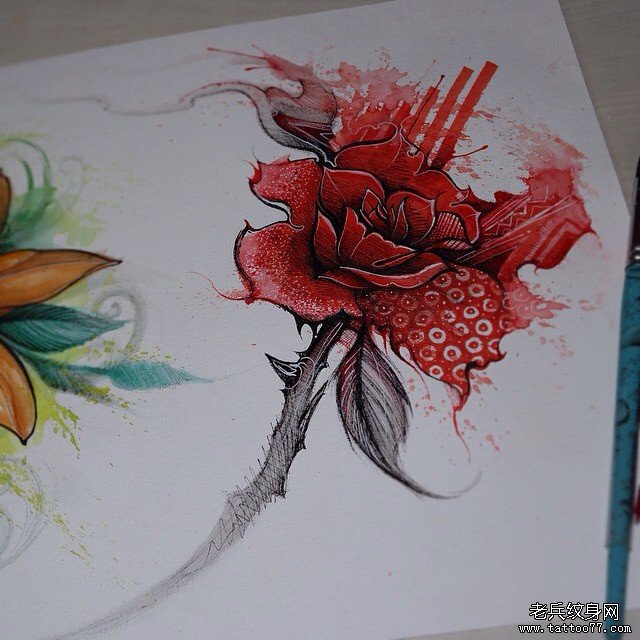 欧美彩色泼墨玫瑰纹身图案手稿