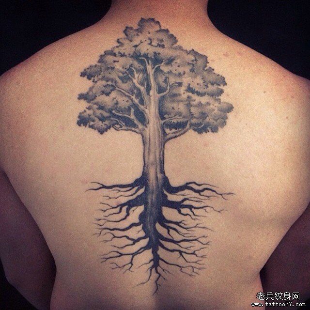 背部欧美黑灰大树纹身图案