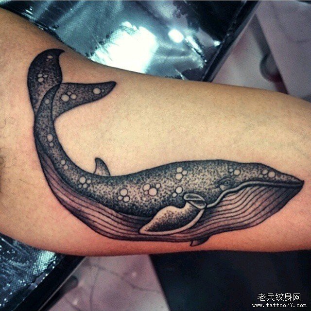 大臂鲸鱼黑灰欧美纹身图案
