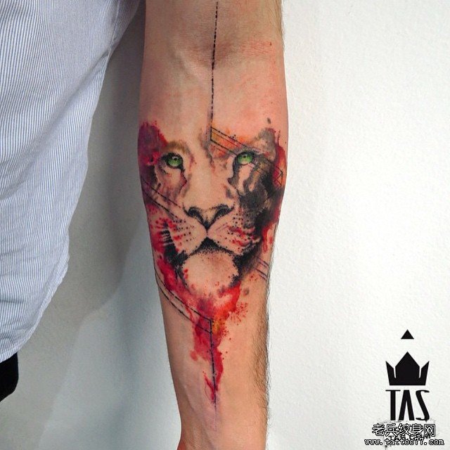小臂彩色泼墨狮子纹身图案