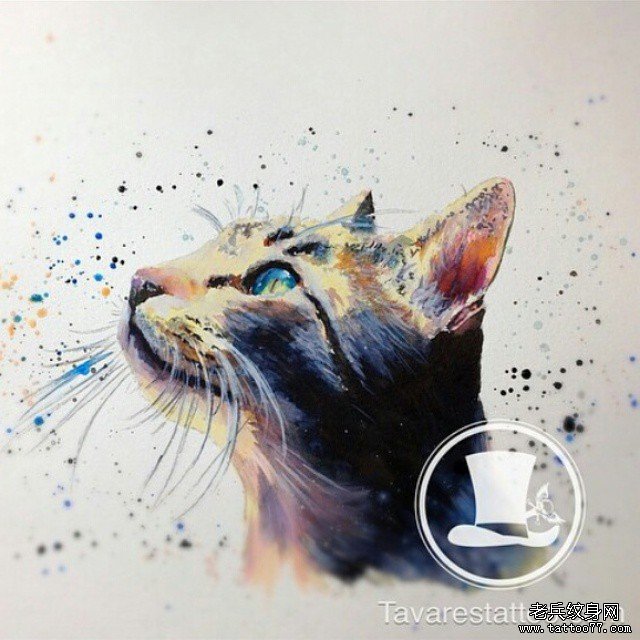 小清新彩色猫纹身图案手稿