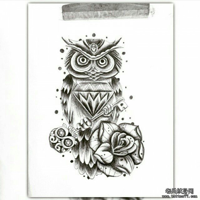 欧美猫头鹰玫瑰花黑灰纹身图案手稿