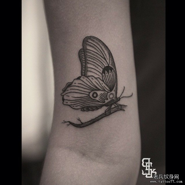 大臂欧美点刺线条蝴蝶纹身图案
