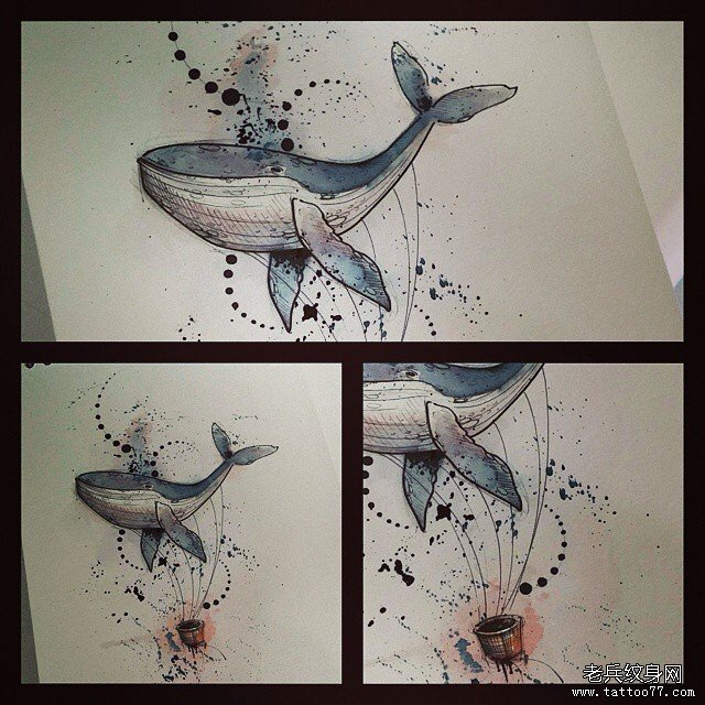 欧美泼墨鲸鱼纹身图案手稿
