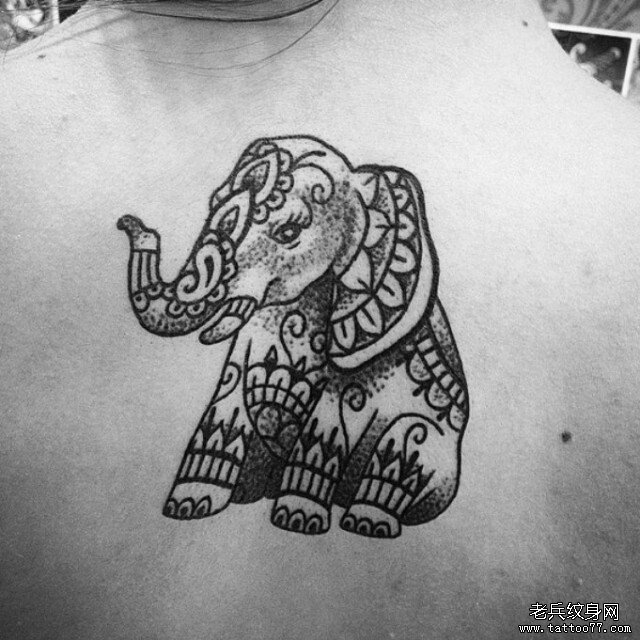 背部大象线条点刺小清新纹身图案