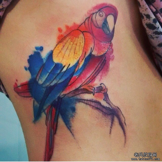 侧腰彩色鹦鹉泼墨纹身图案