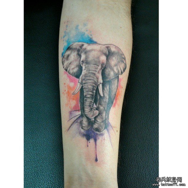 小臂泼墨大象彩绘纹身图案