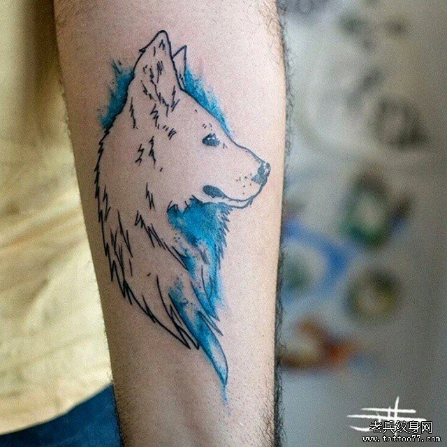 小臂狼头像泼墨蓝色纹身图案