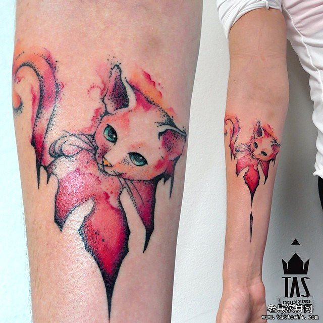 小臂泼墨猫彩色欧美纹身图案
