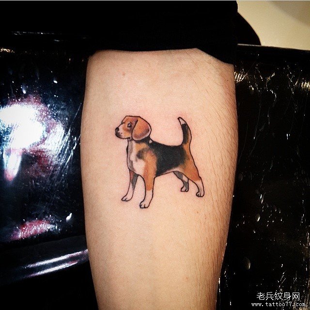 小臂欧美小清新狗纹身图案