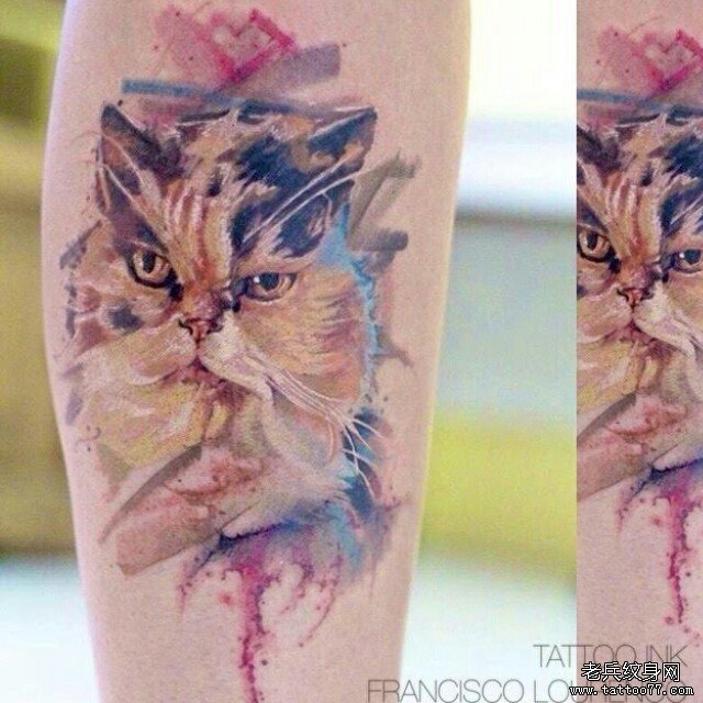 小臂猫彩色欧美纹身图案