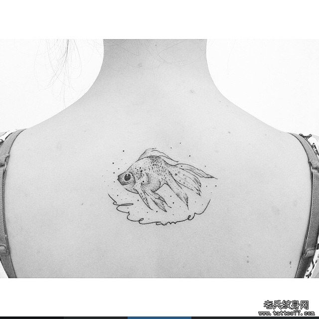 背部金鱼字母小清新纹身图案