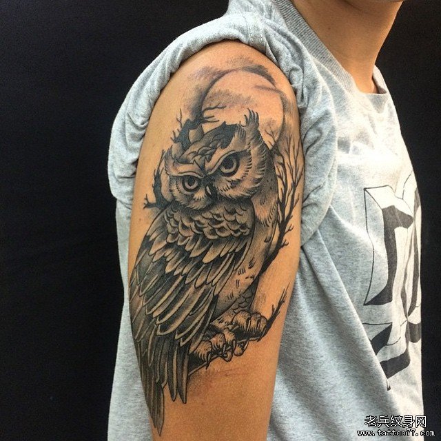 大臂欧美黑灰猫头鹰月亮纹身图案
