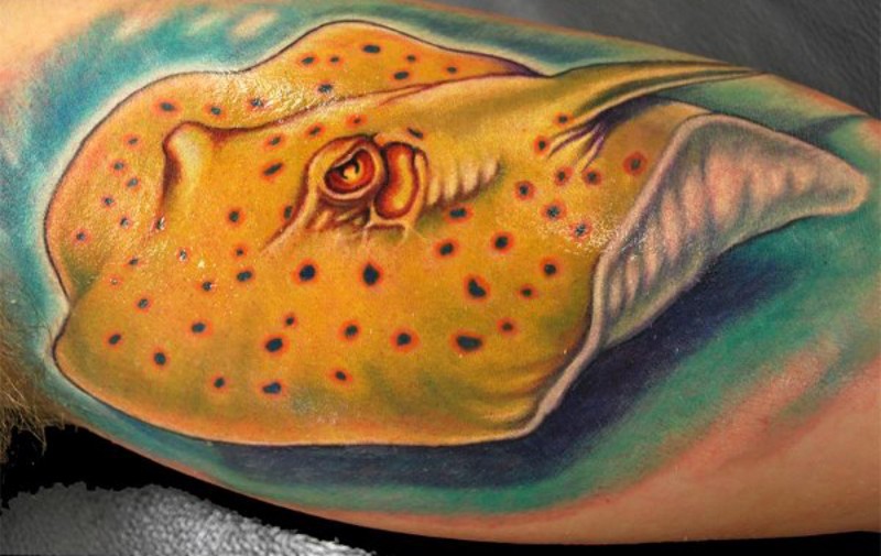 手臂彩色逼真的3D鳐鱼纹身图案
