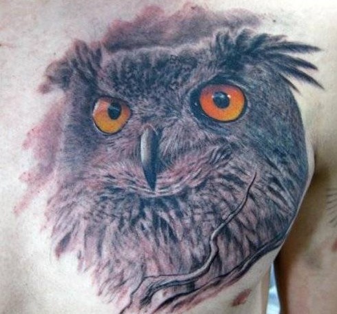 3D逼真的猫头鹰胸部纹身图案
