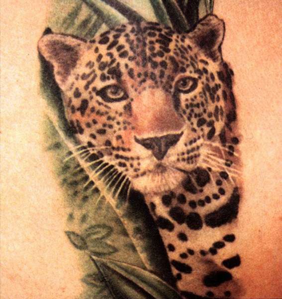 漂亮的彩色豹头纹身图案