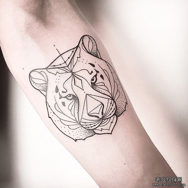 小臂线条点刺狮子纹身图案