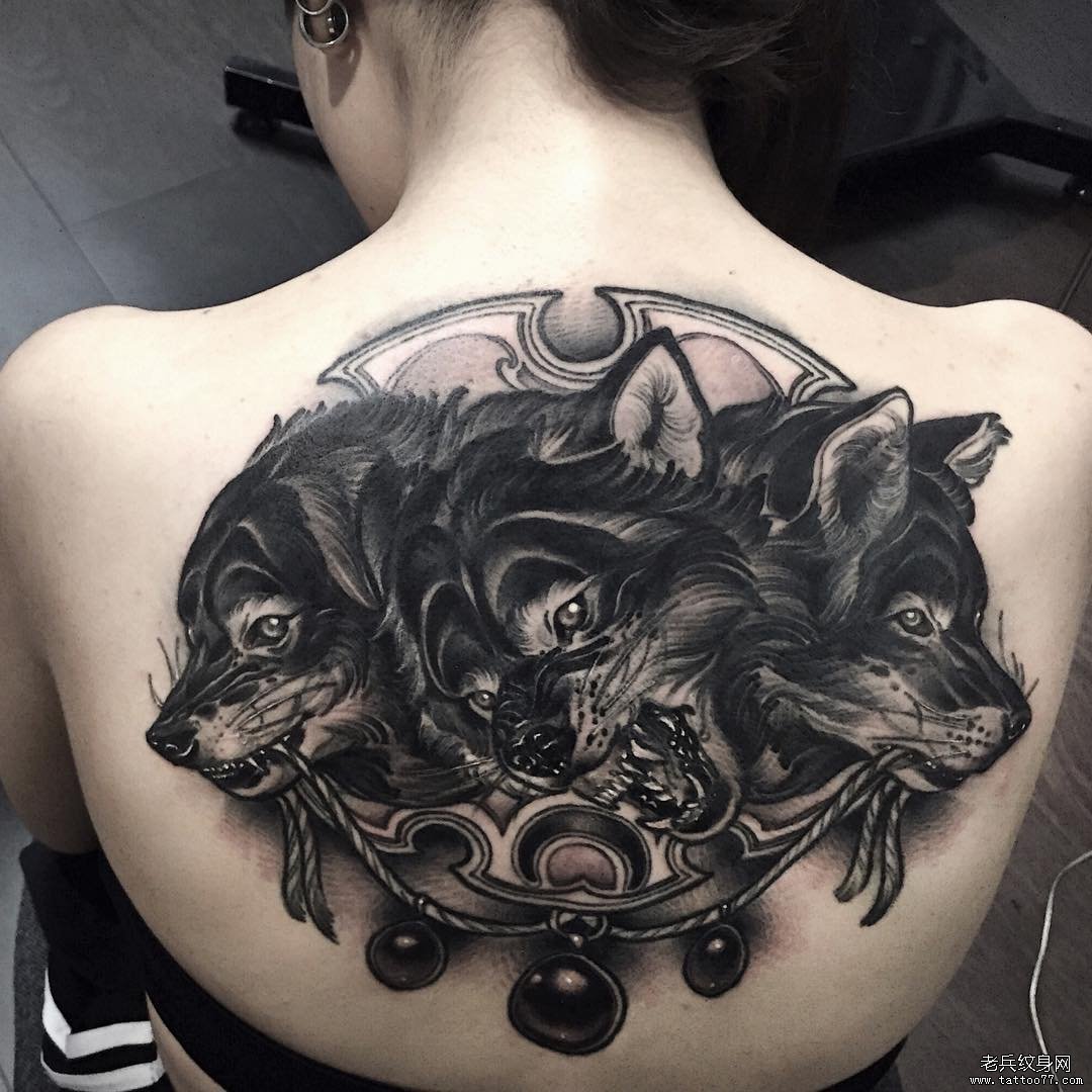 女生背部黑灰欧美三头犬纹身图案