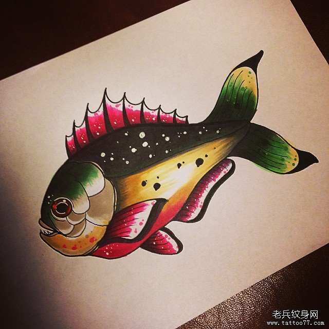 欧美彩色new school食人鱼纹身图案手稿