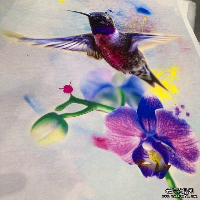 水彩泼墨写实蜂鸟花卉纹身图案手稿