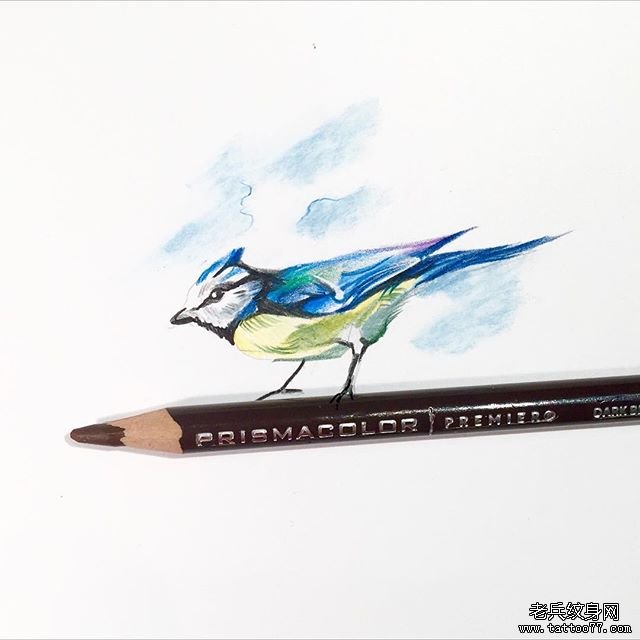 水彩鸟纹身图案手稿