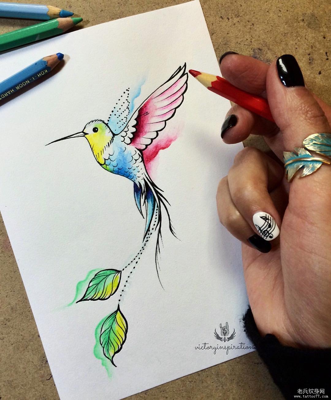 水彩蜂鸟纹身图案手稿