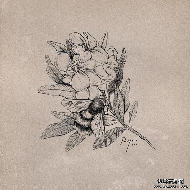 欧美蜜蜂和花朵纹身图案手稿