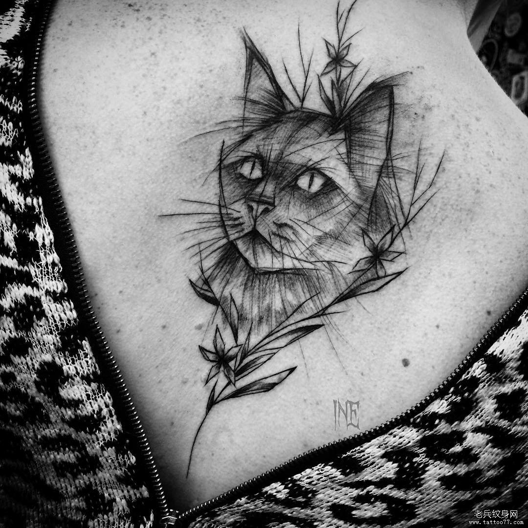 女生背部钢笔画风格线条猫纹身图案