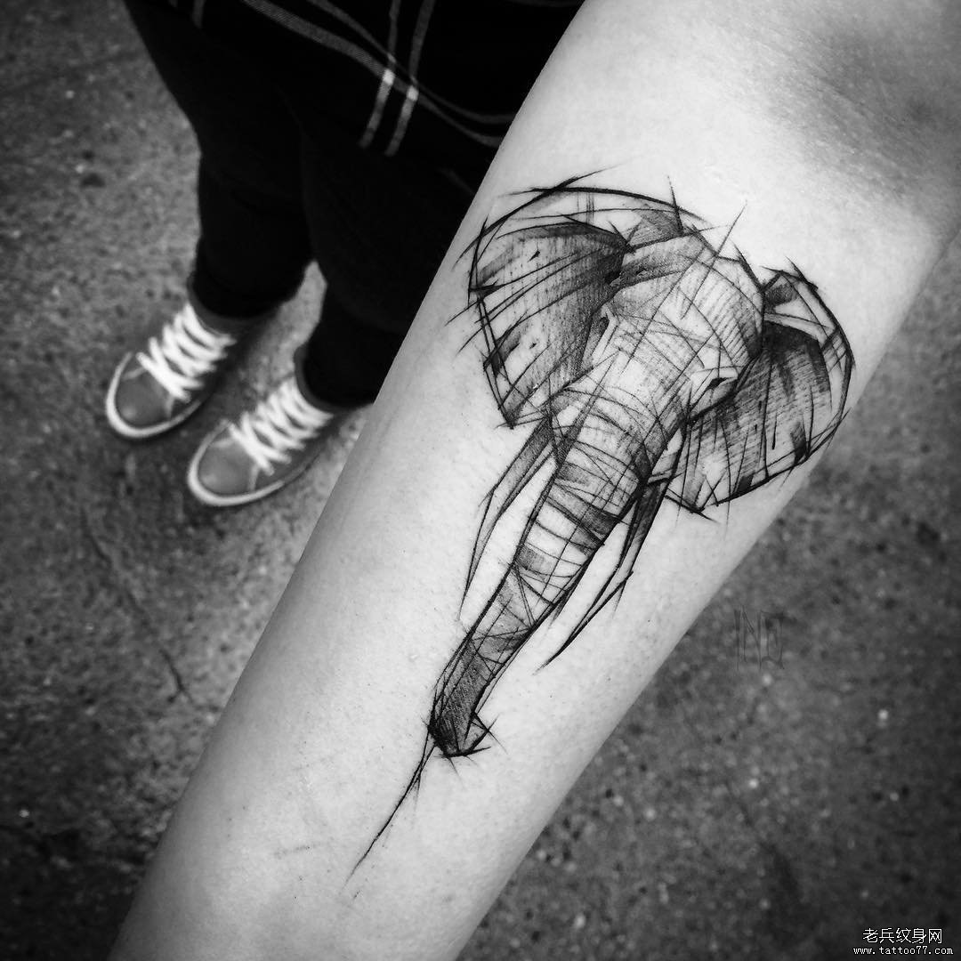 小臂大象钢笔画风格纹身图案