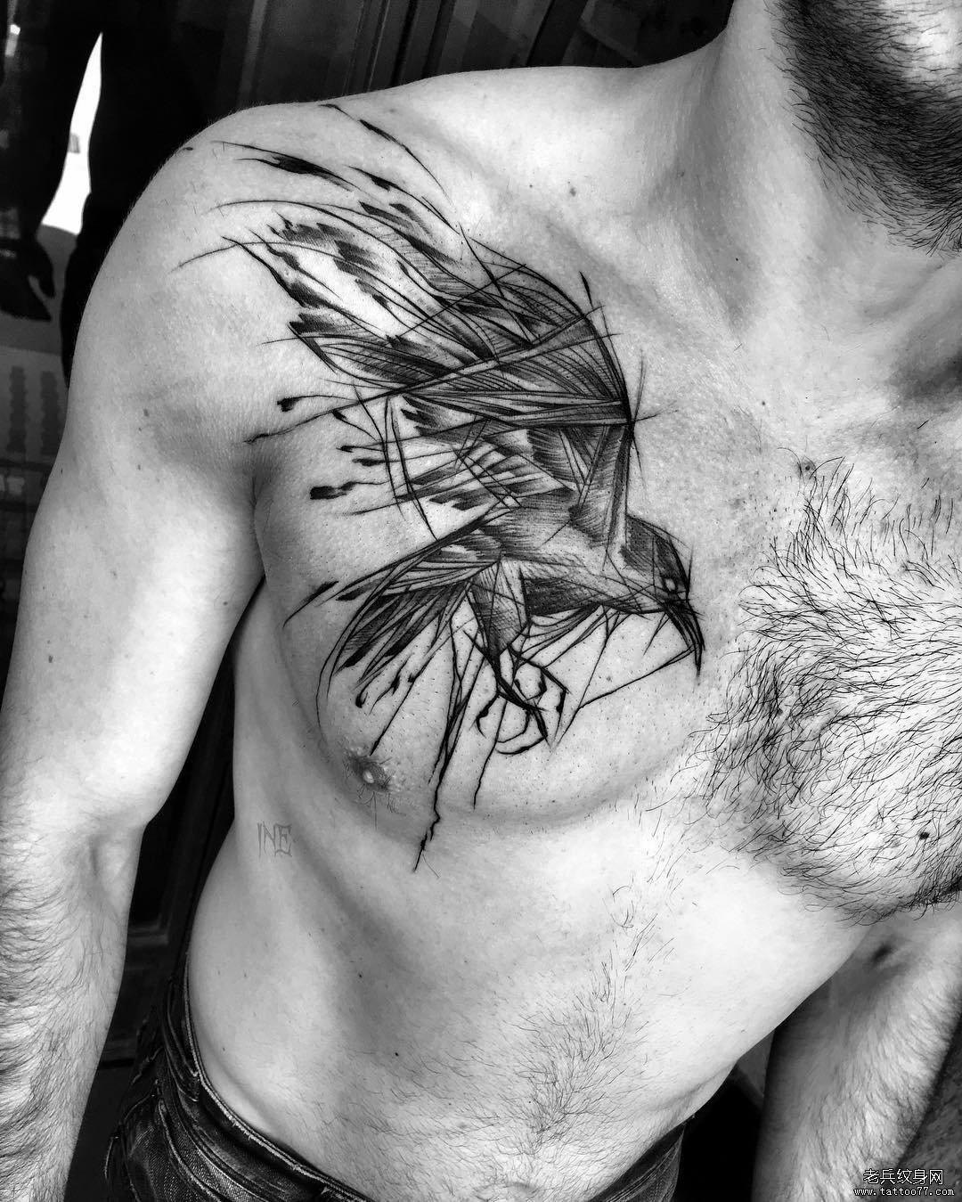男性胸部钢笔画风格鸟纹身图案