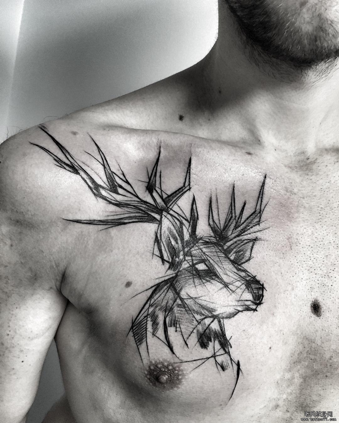 男性胸部钢笔画风格麋鹿纹身图案