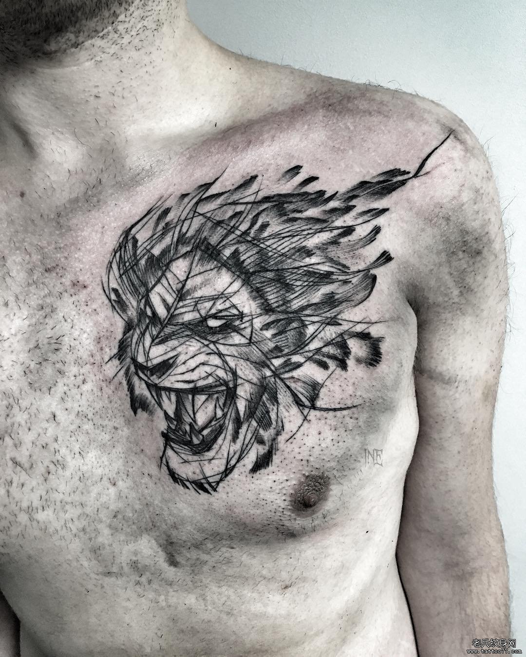胸部狮子钢笔画纹身图案