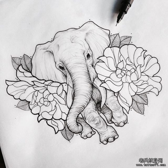 欧美大象牡丹花纹身图案手稿