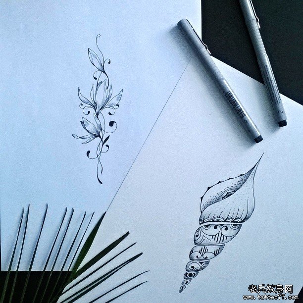 欧美海螺藤蔓纹身图案手稿